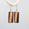 Wood and Leather Bar Earrings
