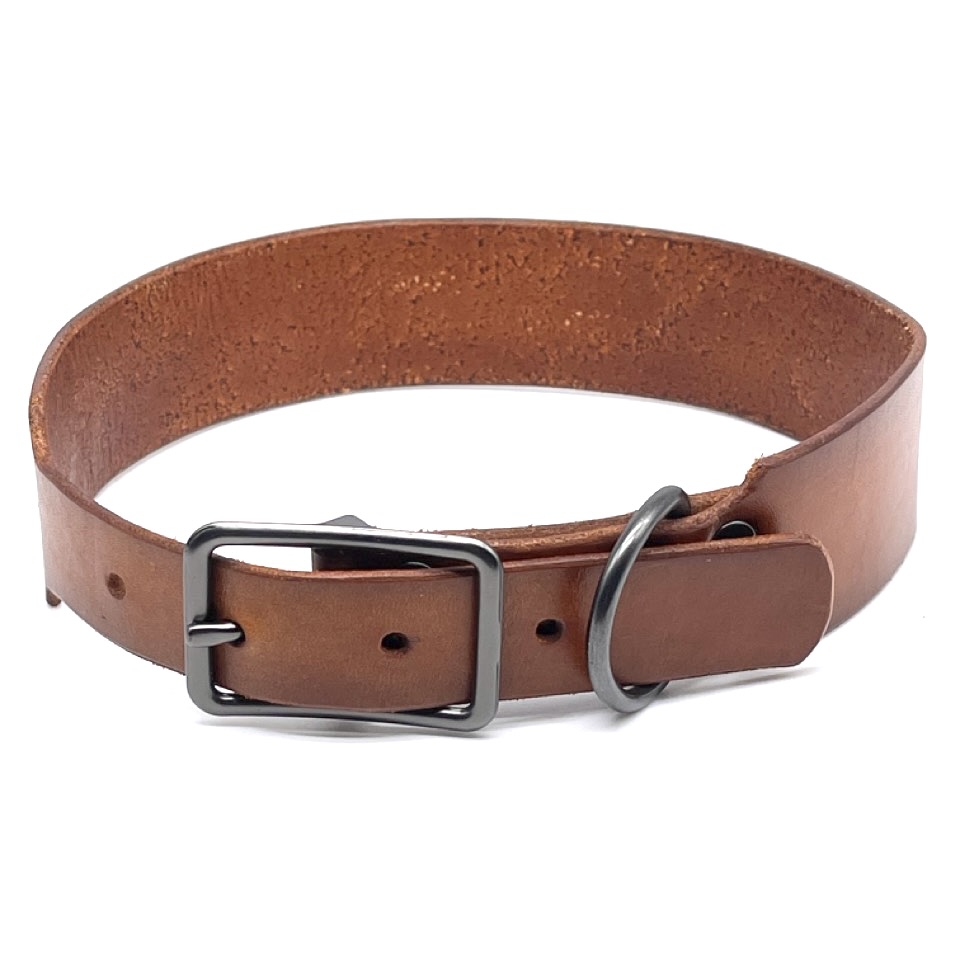 Dog Collars